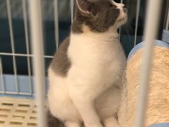 -猫的天空之城概念书店(北戴河蔚蓝海岸店)