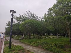 -高东镇樱花园