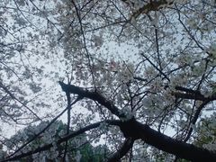 -赭山公园