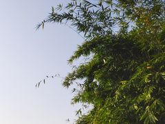 -崇阳三特浪口温泉