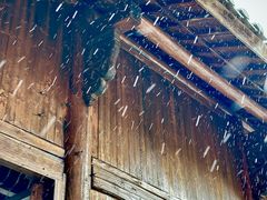 -东天目山风景区