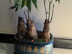 -牛街·马辈儿涮肉(牛街总店)