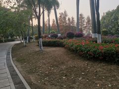 -海珠湖公园