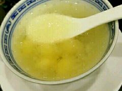 -大中鱼翅 Taitong Shark Fin