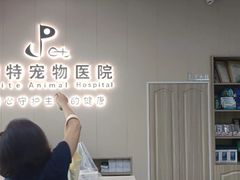 -派特宠物医院(海岸城店)