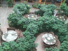 -君临七星生态酒店