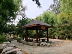 -大兴滨河森林公园