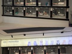 -翊宠yipet猫狗购宠庄园犬舍•猫舍