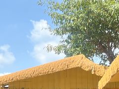 -苏记溪河鲢鱼庄(天府新区店)