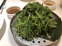 -金春禧(世茂国际广场店)