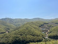 -宁波浙东大竹海景区