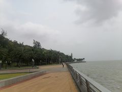 -野狸岛