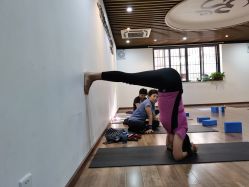 -兴亚瑜伽20年老馆