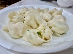 -东方饺子王(新奥购物中心店)