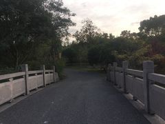 -梁鸿国家湿地公园