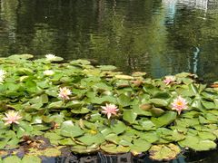 -荔枝公园(福田区)