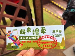 -黄海国家森林公园