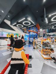 -乐高品牌旗舰店(人民广场店)
