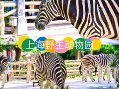 -上海野生动物园