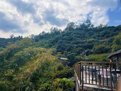 -鲤鱼塘农家山庄