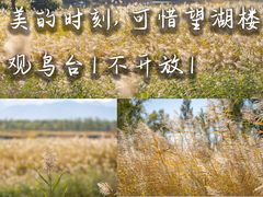 -野鸭湖国家湿地公园