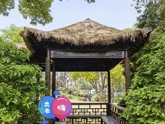 -上海醉白池公园
