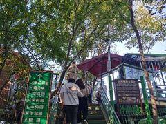 -栾川竹海野生动物园