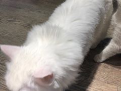 -小时光咖啡馆(开森度假森林店)
