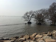 -宝安西湾红树林湿地公园