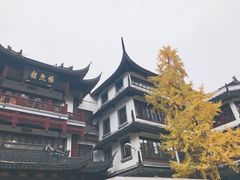 -上海外滩茂悦大酒店