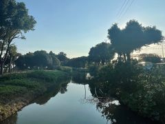 -莲花岛景区