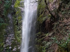 -莫里热带雨林景区