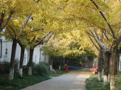 景点-焦山风景区