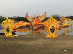-武汉园博园(武汉自然博物馆)