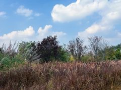 -中国天府农业博览园