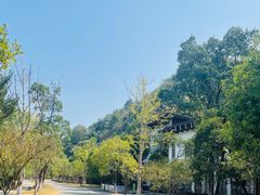 -常德桃花源景区