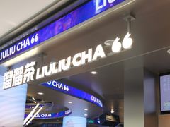 -TD66高山铁皮石斛养生茶饮