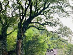 -岳麓山风景名胜区