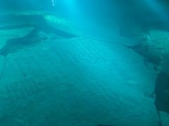 -白鹤梁水下博物馆