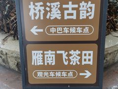 -雁南飞茶田景区