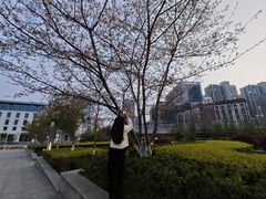 -水果湖儿童公园
