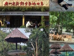 -广州长隆野生动物世界