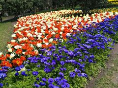 -上海鲜花港