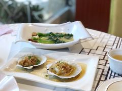 冬菜蒸元贝-强记海鲜·大排档(蛇口新街店)