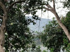 -深圳仙湖植物园