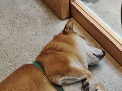 -三目仓咖啡(贤南路店)
