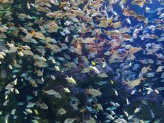 -成都浩海立方海洋公园