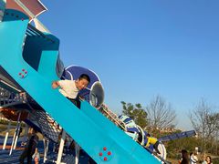 -九龙湖公园