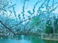 -长白岛森林公园