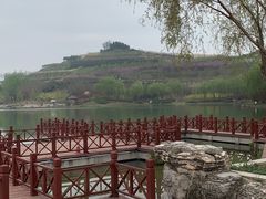 -河北省园博园